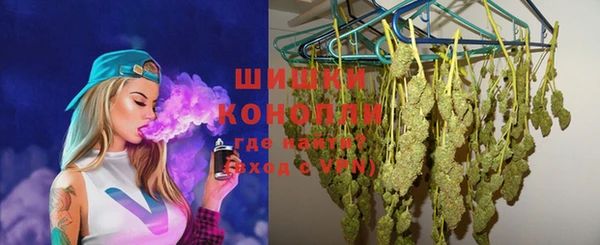 эйфоретик Няндома