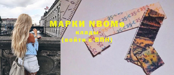 эйфоретик Няндома