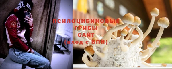 эйфоретик Няндома